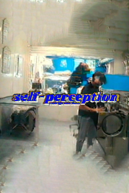 self perception (2021) movie poster