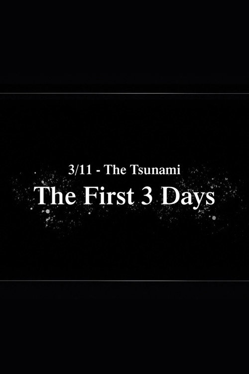 3/11 - The Tsunami: The First 3 Days (2021) movie poster