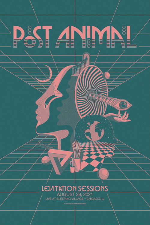 Post Animal - Levitation Sessions (2021) movie poster