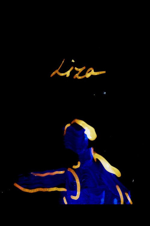 Liza (2021) movie poster