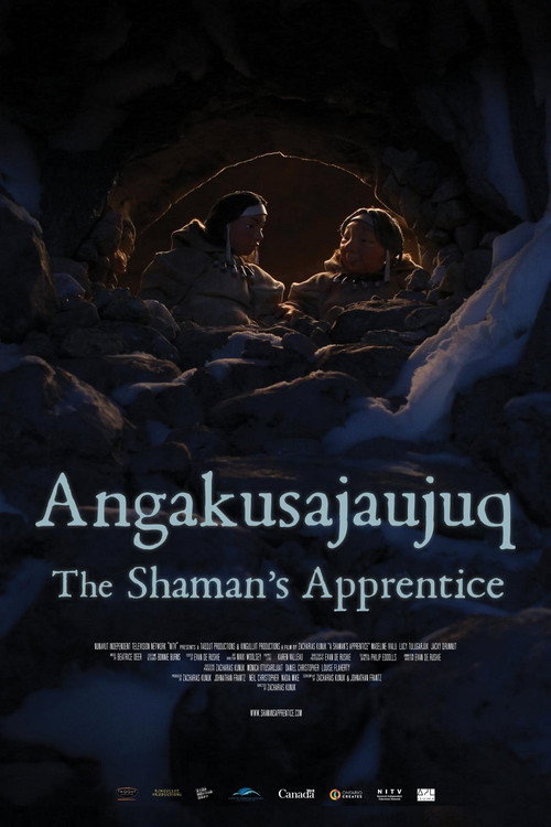 The Shaman's Apprentice (2021) movie poster