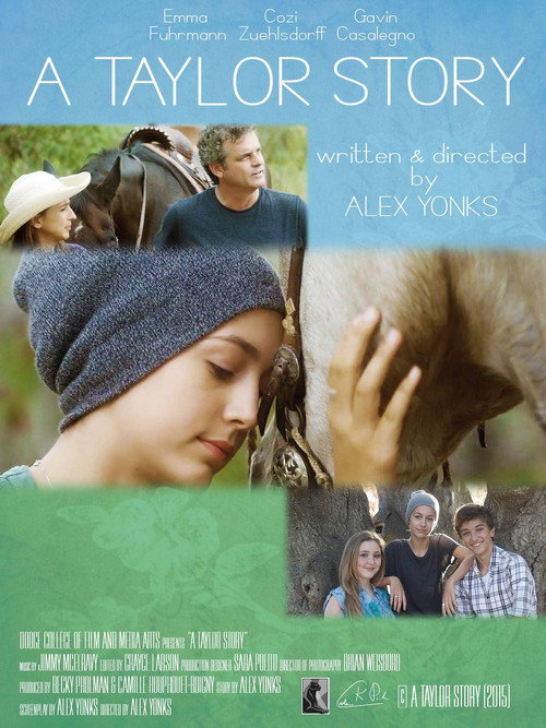 A Taylor Story (2016) movie poster
