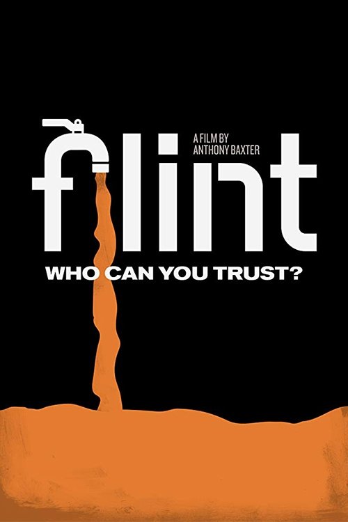 Flint (2020) movie poster