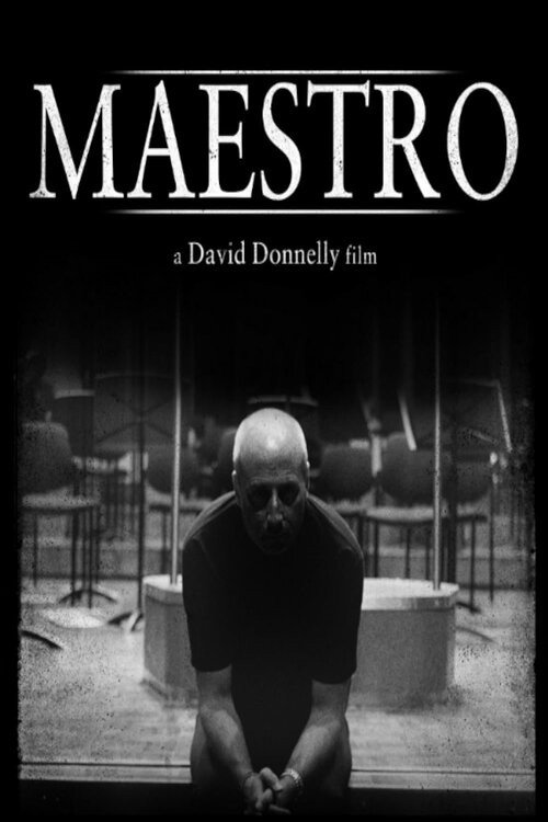 Maestro (2015) movie poster