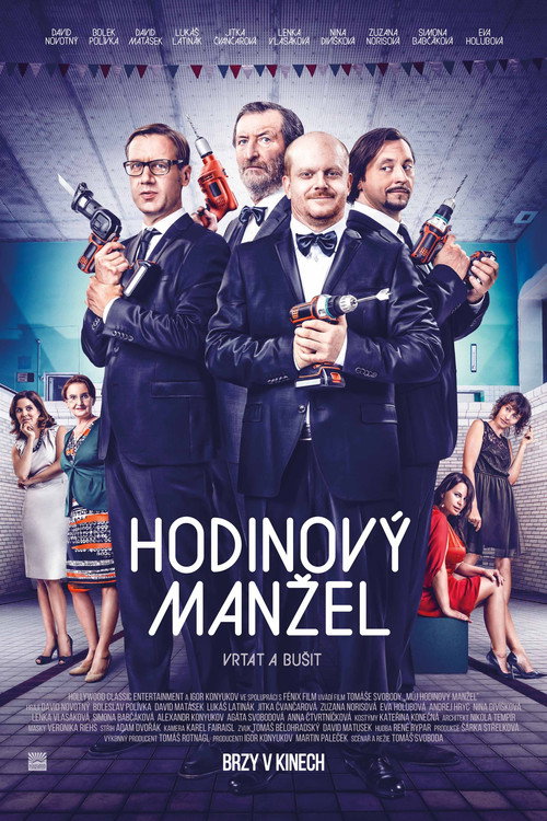 Husband to Rent (2014) movie poster