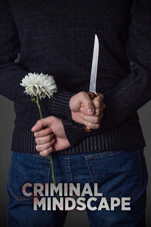 Criminal Mindscape TV show poster