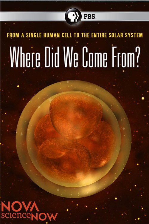 Where Did We Come From? (2011) movie poster