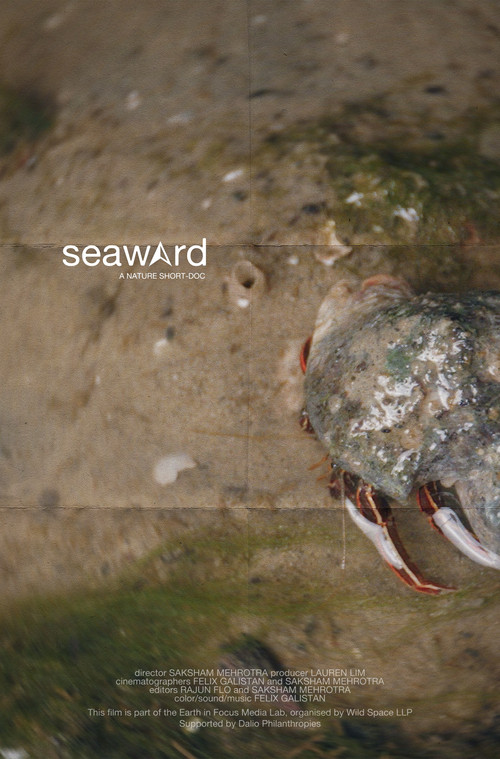 seaward (2025) movie poster
