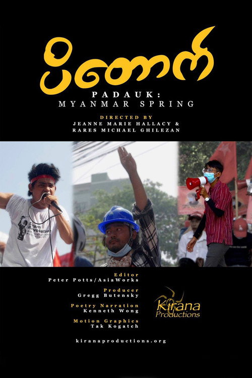 Padauk: Myanmar Spring (2021) movie poster