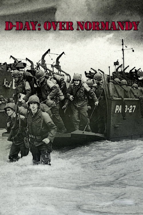 D-Day: Over Normandy (2017) movie poster