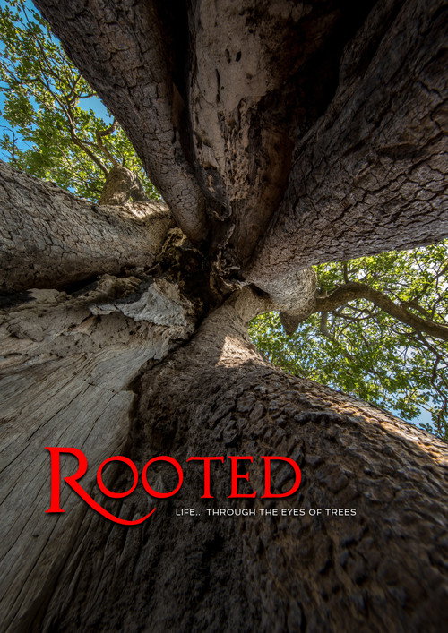 Rooted (2018) TV show poster