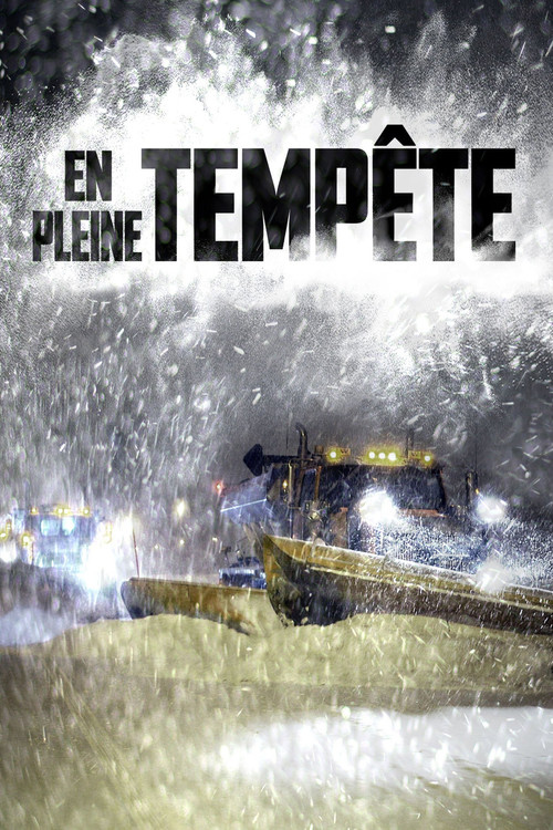 En pleine tempête (2016) TV show poster
