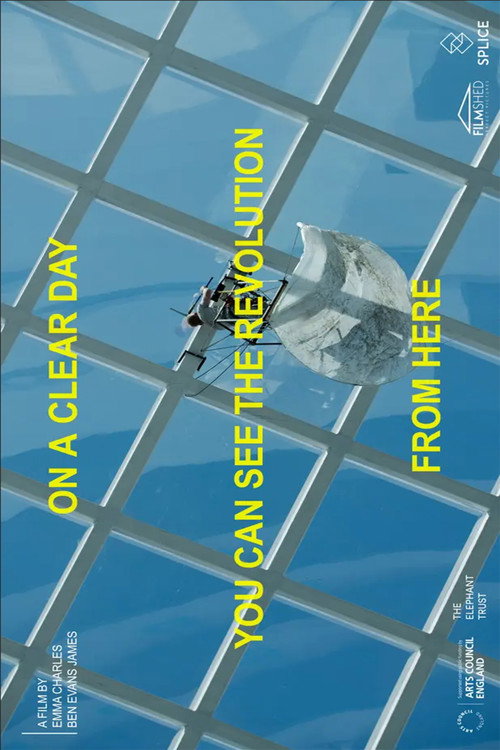 On a Clear Day You Can See the Revolution From Here (2020) movie poster