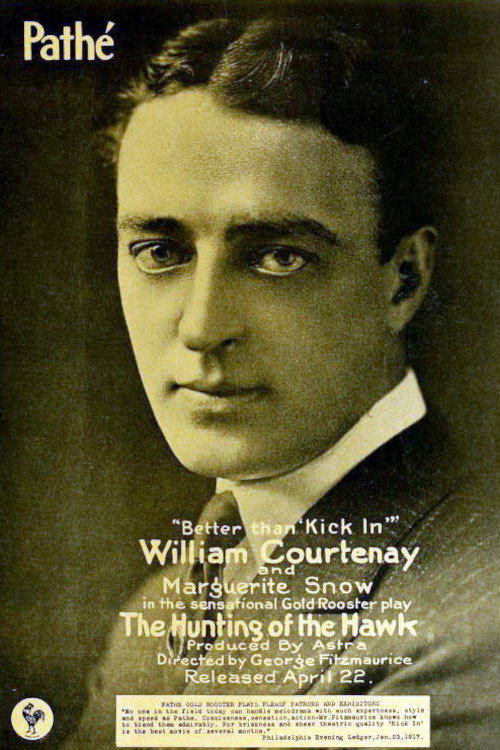 The Hunting of the Hawk (1917) movie poster