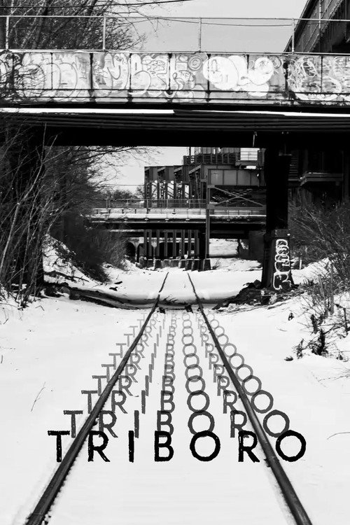 Triboro (2021) movie poster