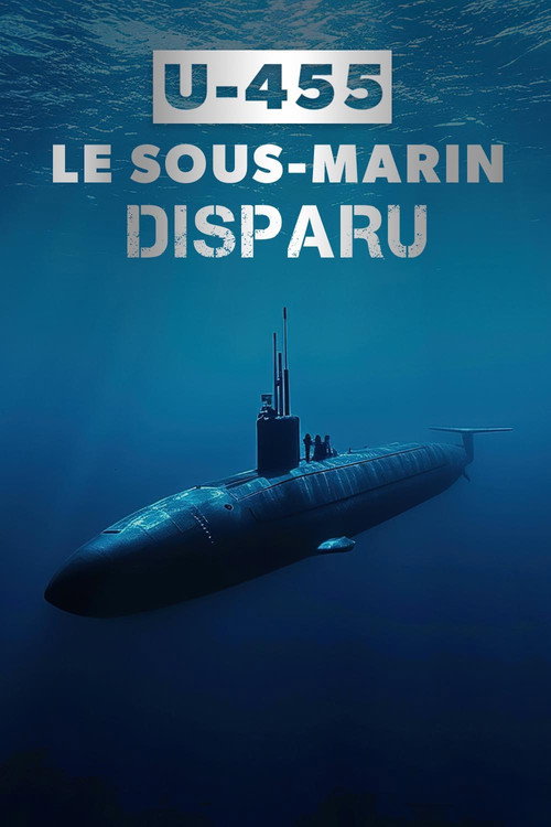 U-455, le sous-marin disparu (2013) movie poster