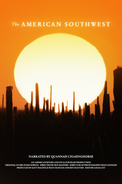 The American Southwest (2025) movie poster