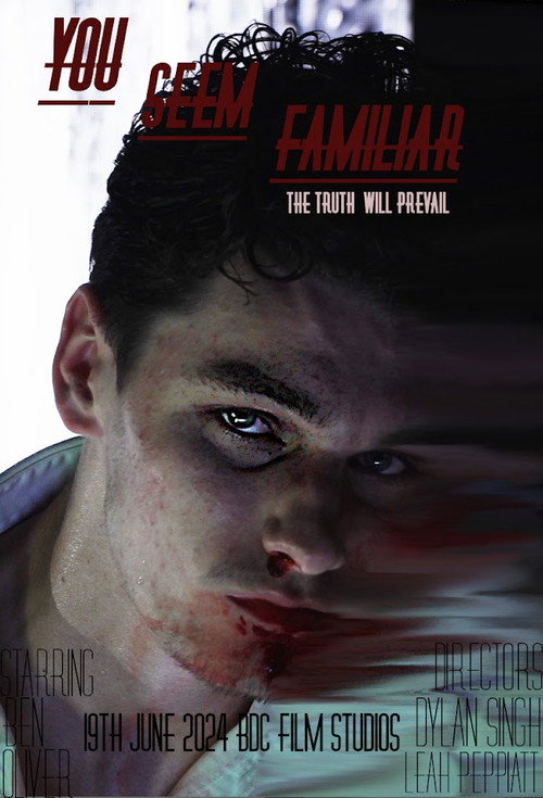 You Seem Familiar (2024) movie poster