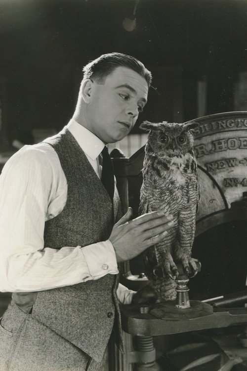 The Jailbird (1920) movie poster