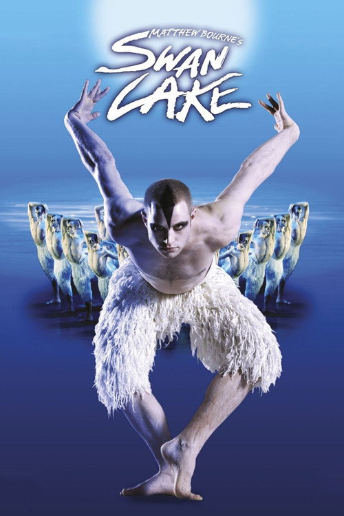 Swan Lake (2012) movie poster