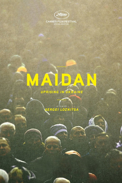 Maidan (2014) movie poster