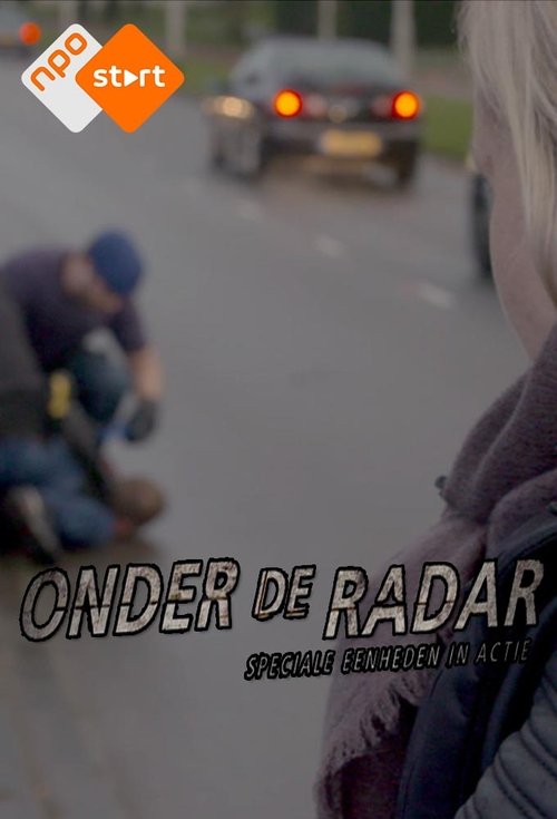 Off the Radar (2016) TV show poster