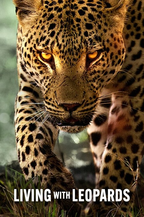 Living with Leopards (2024) movie poster