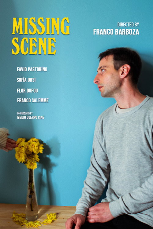 Missing Scene (2024) movie poster