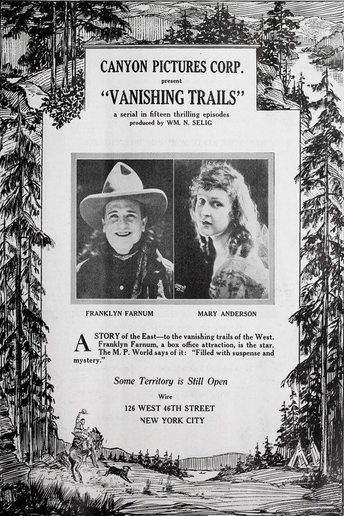 Vanishing Trails (1920) movie poster