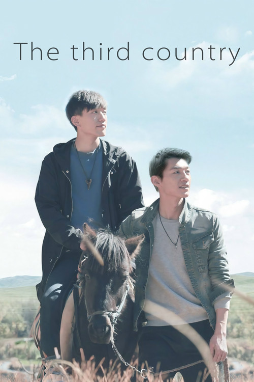 Third Country (2017) movie poster