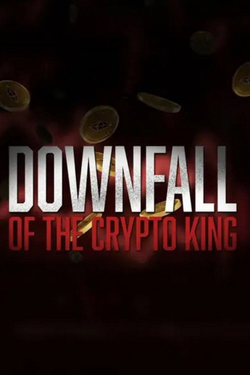 Downfall of the Crypto King (2024) movie poster