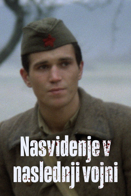 See You in the Next War (1980) movie poster
