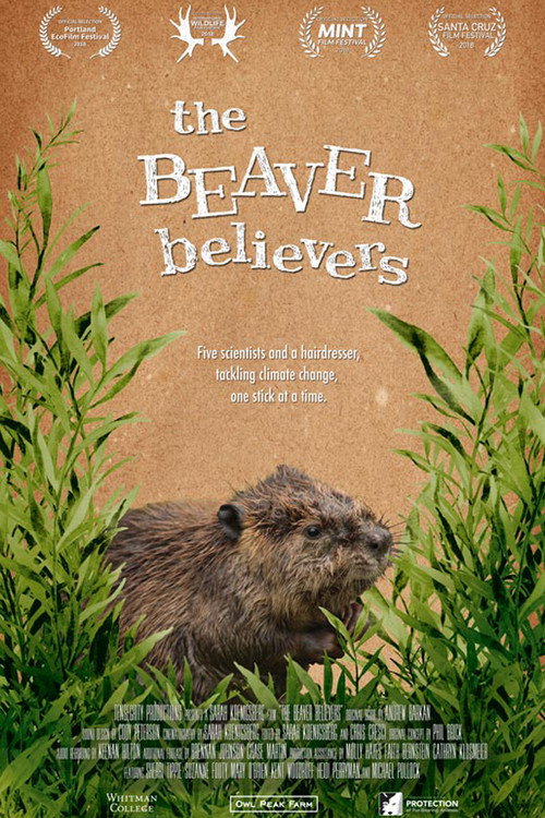The Beaver Believers (2018) movie poster