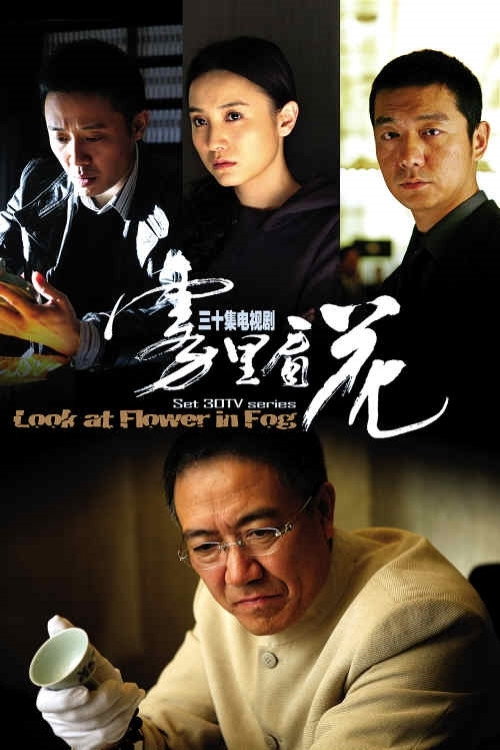 Look at Flower in Fog (2009) TV show poster
