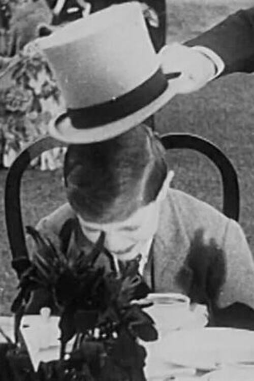 Scenes at his Excellency the Viceroys's Garden Party at Belvedere (1926) movie poster
