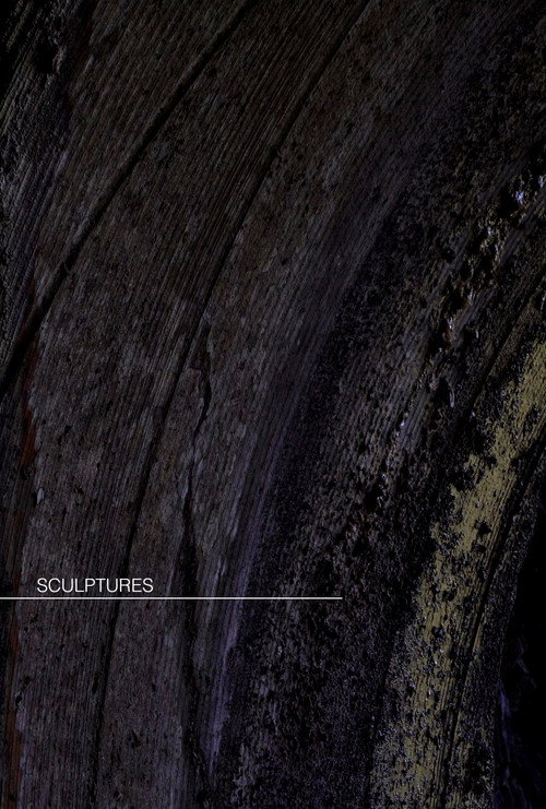 Sculptures [short] (2025) movie poster