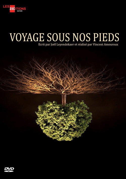 Voyage sous nos pieds (2016) TV show poster