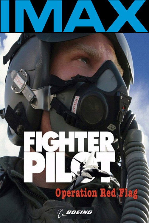 Fighter Pilot: Operation Red Flag (2004) movie poster