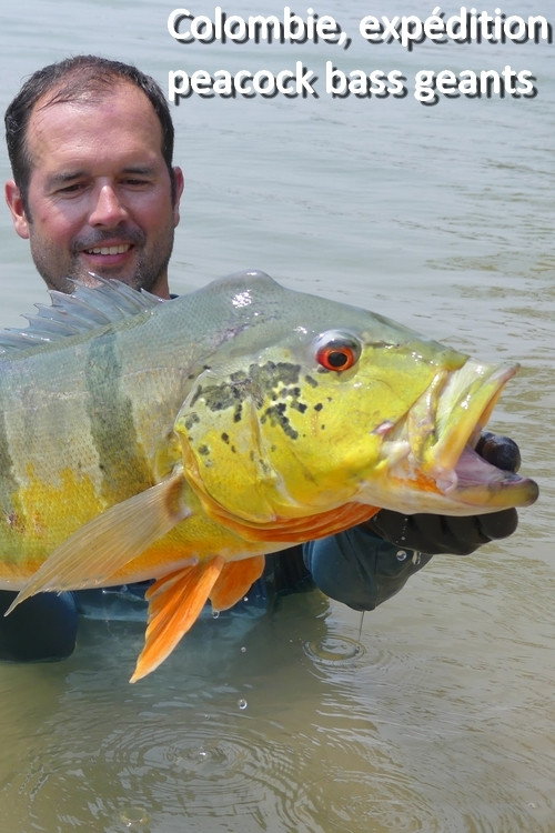 Colombia, A Giant Peacock Bass Expedition (2019) movie poster