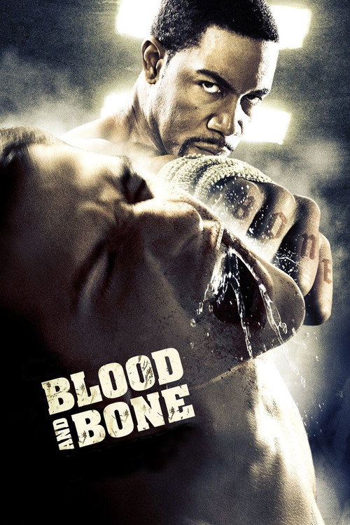 Blood and Bone (2009) movie poster