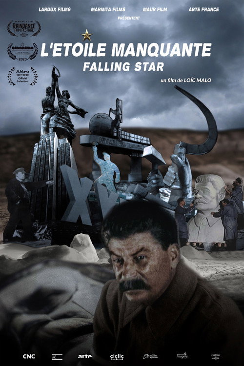 The Falling Star (2019) movie poster