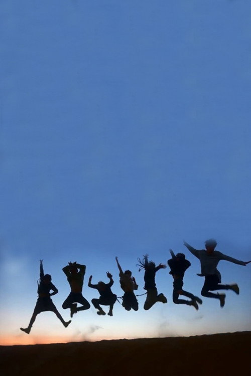 BTS Summer Package in Dubai (2016) movie poster
