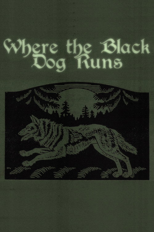 Where the Black Dog Runs (2026) movie poster