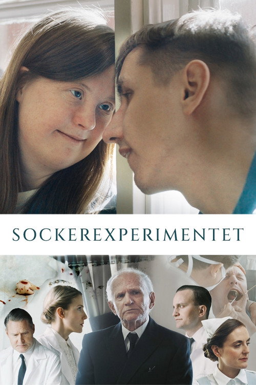 The Sugar Experiment (2023) movie poster