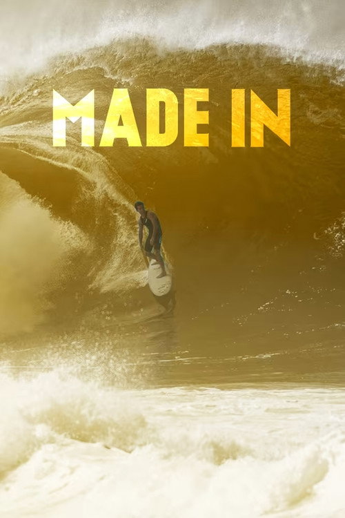 Made in New Zealand TV show poster