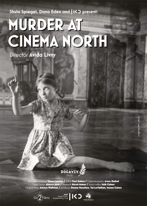 Murder At Cinema North (2020) movie poster