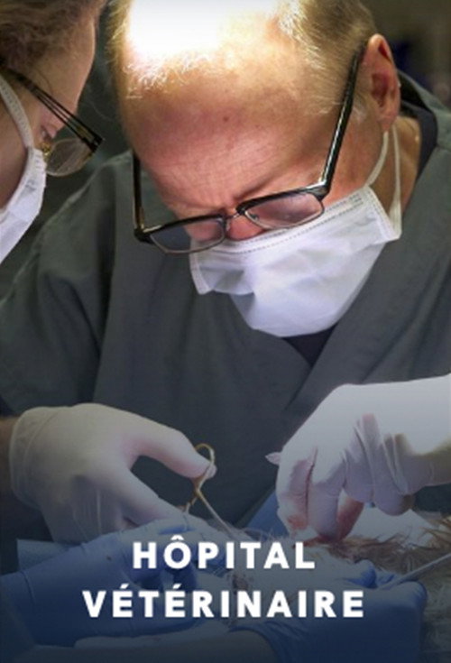 Hôpital vétérinaire (2012) TV show poster