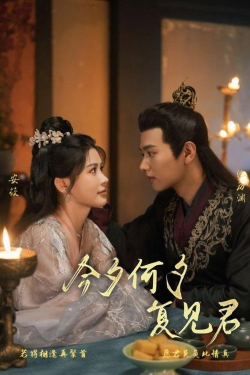 今夕何夕复见君 (2024) TV show poster