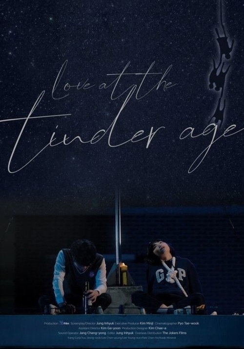 Love at the Tinder Age (2020) movie poster