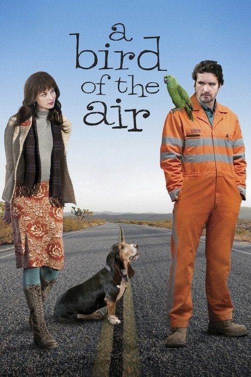 A Bird of the Air (2011) movie poster